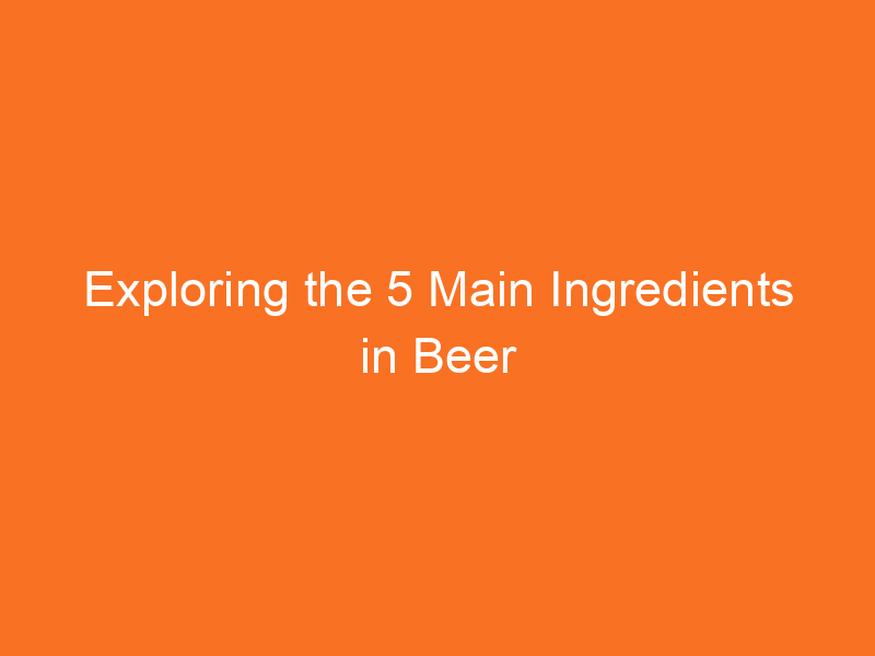 Exploring the 5 Main Ingredients in Beer - Brew Gem