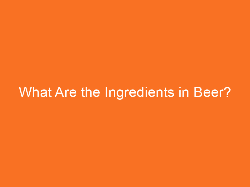 What Are the Ingredients in Beer? - Brew Gem